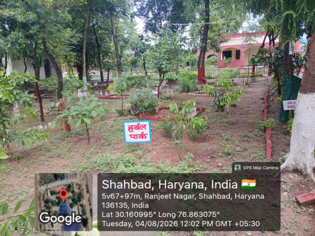 SCHOOL HARBAL PARK