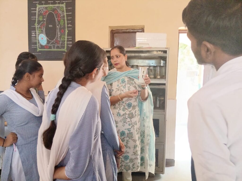 SCIENCE ACTIVTIES II